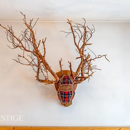 Dolympic View Cortina *